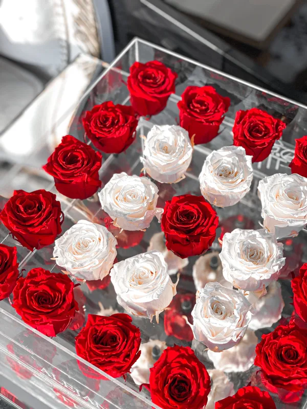 25 Rosas Preservadas en Caja Acrílica