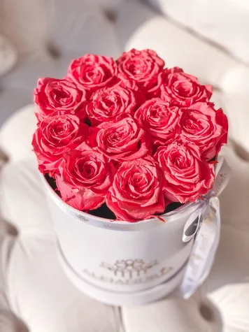 Box Terciopelo 12 Rosas Preservadas