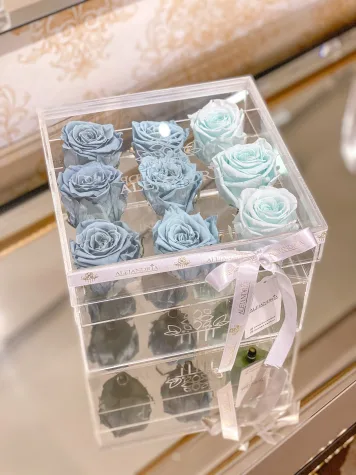 9 Rosas Preservadas en Caja Acrílica