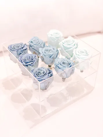 9 Rosas Preservadas en Caja Acrílica