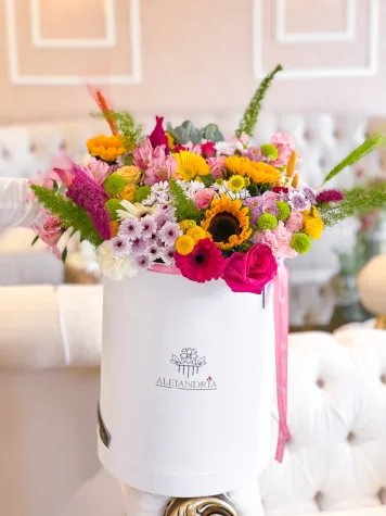 Box Imperial con girasoles