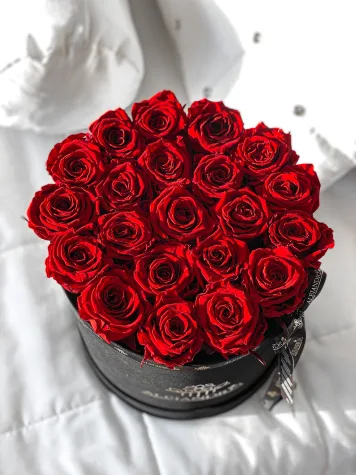 Box Terciopelo G Rosas Preservadas