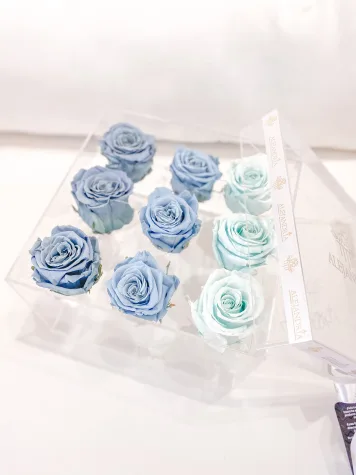 9 Rosas Preservadas en Caja Acrílica