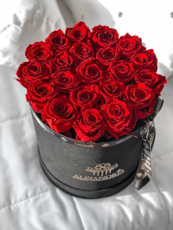 Box Terciopelo G Rosas Preservadas