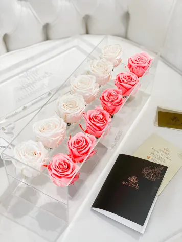 12 Rosas Preservadas en Caja Acrílica