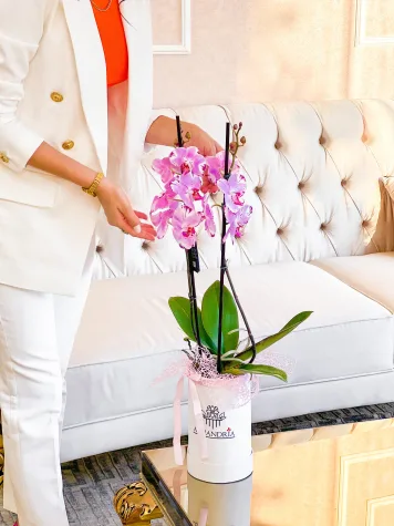 Orquidea “Pinterest”