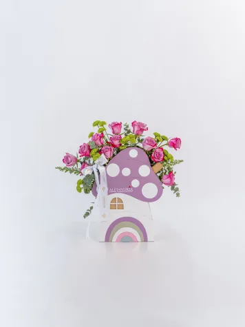 Baby Mushroom - Arreglo de Nacimiento Unisex