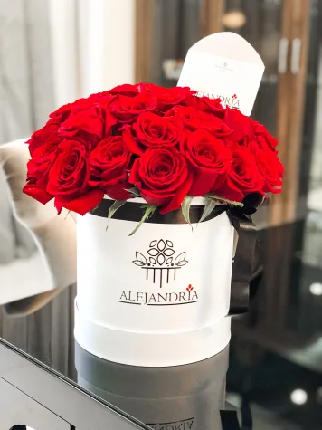 FlowerBox "Davinci"