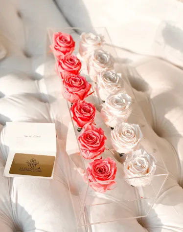 12 Rosas Preservadas en Caja Acrílica